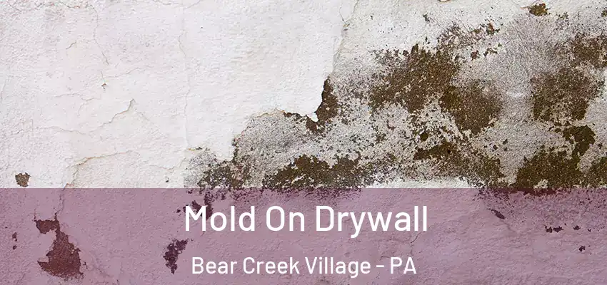 Mold On Drywall Bear Creek Village - PA