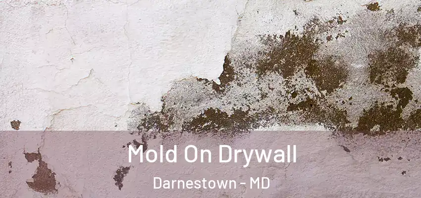Mold On Drywall Darnestown - MD