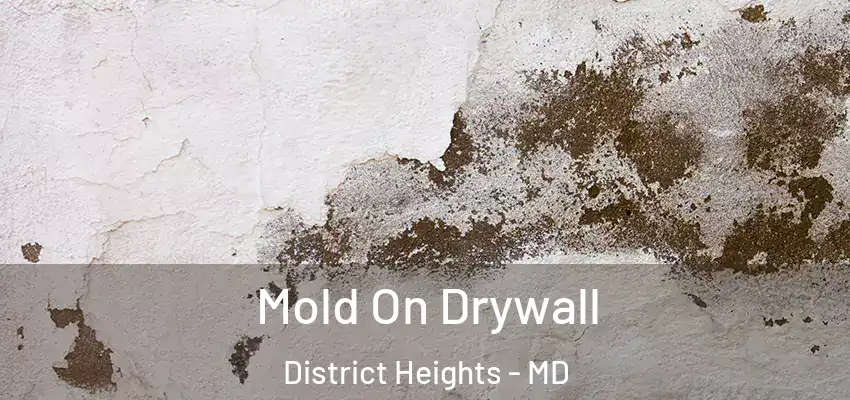 Mold On Drywall District Heights - MD