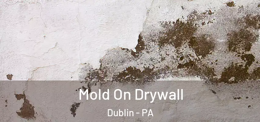  Mold On Drywall Dublin - PA