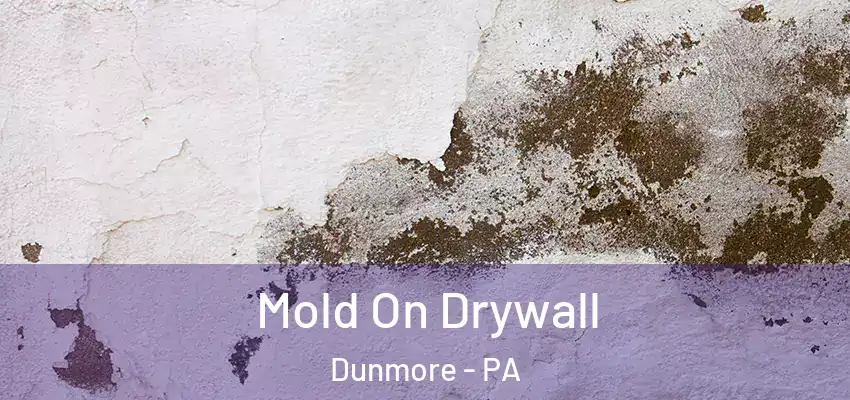 Mold On Drywall Dunmore - PA