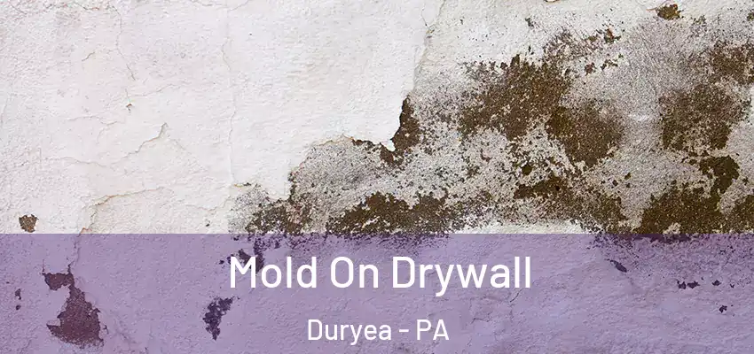  Mold On Drywall Duryea - PA