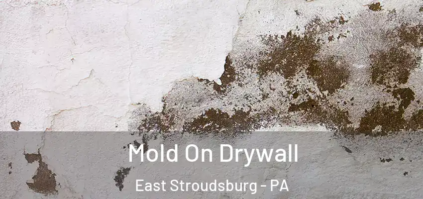Mold On Drywall East Stroudsburg - PA