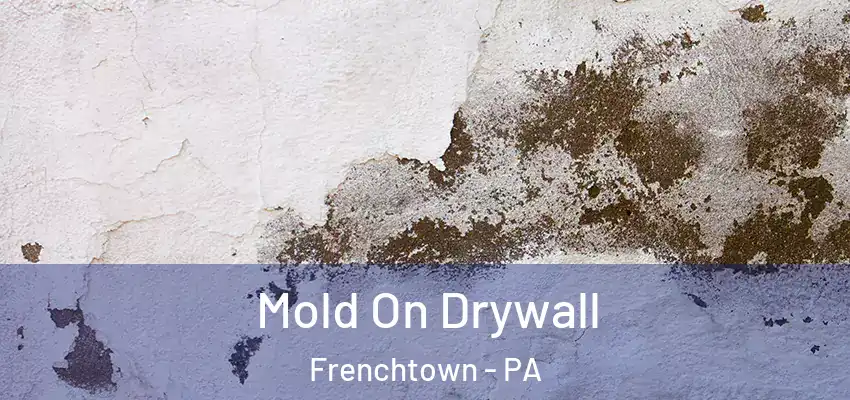 Mold On Drywall Frenchtown - PA