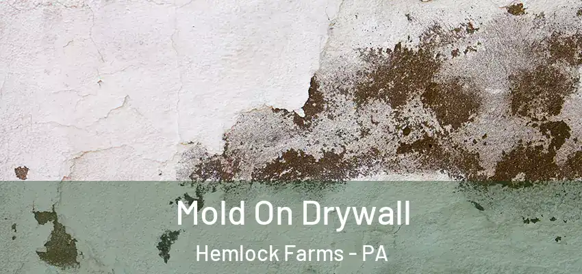 Mold On Drywall Hemlock Farms - PA