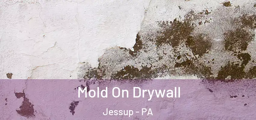 Mold On Drywall Jessup - PA