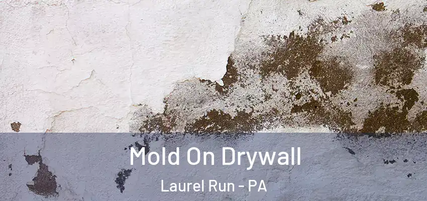 Mold On Drywall Laurel Run - PA