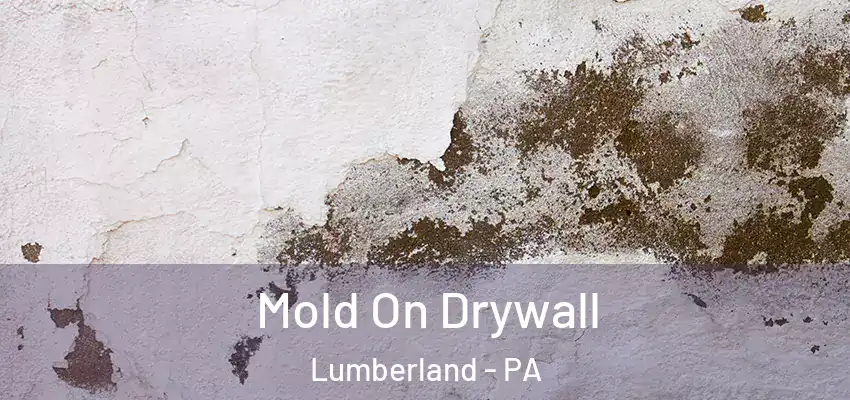 Mold On Drywall Lumberland - PA