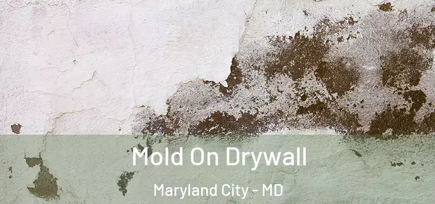 Mold On Drywall Maryland City - MD