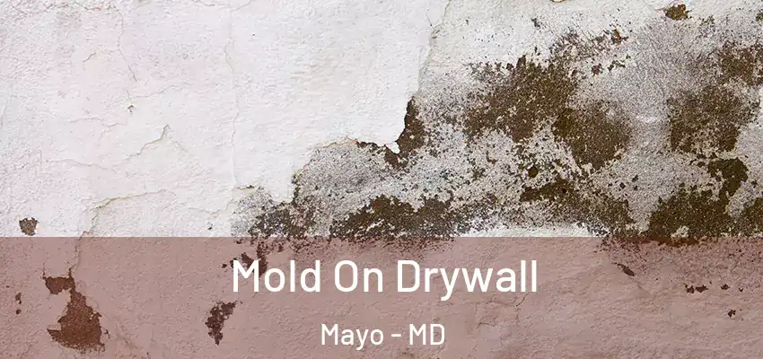 Mold On Drywall Mayo - MD
