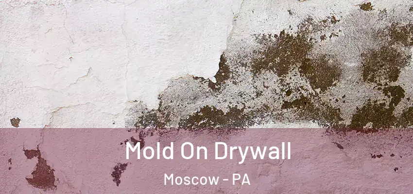 Mold On Drywall Moscow - PA