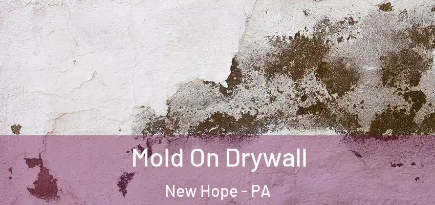 Mold On Drywall New Hope - PA