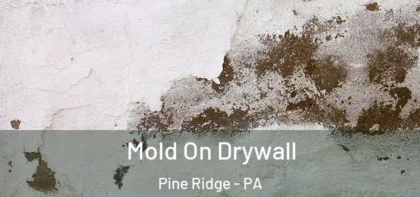  Mold On Drywall Pine Ridge - PA