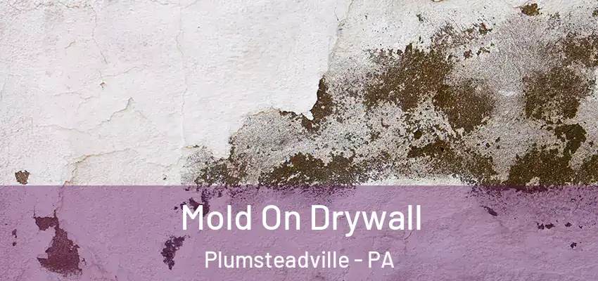 Mold On Drywall Plumsteadville - PA