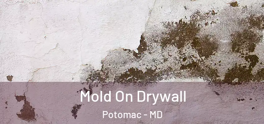  Mold On Drywall Potomac - MD