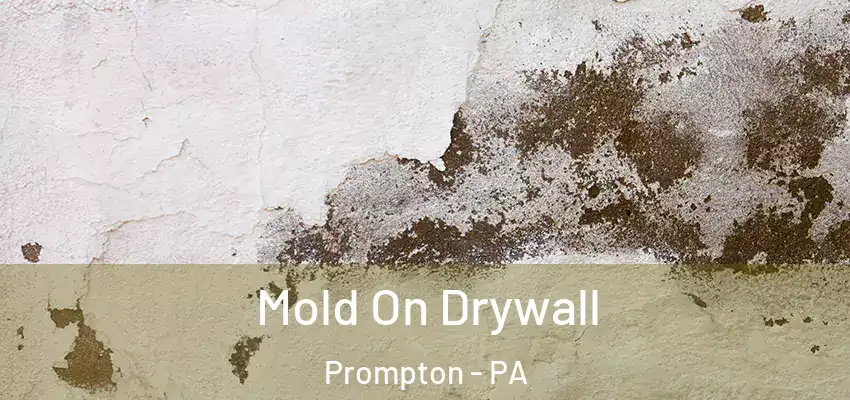 Mold On Drywall Prompton - PA