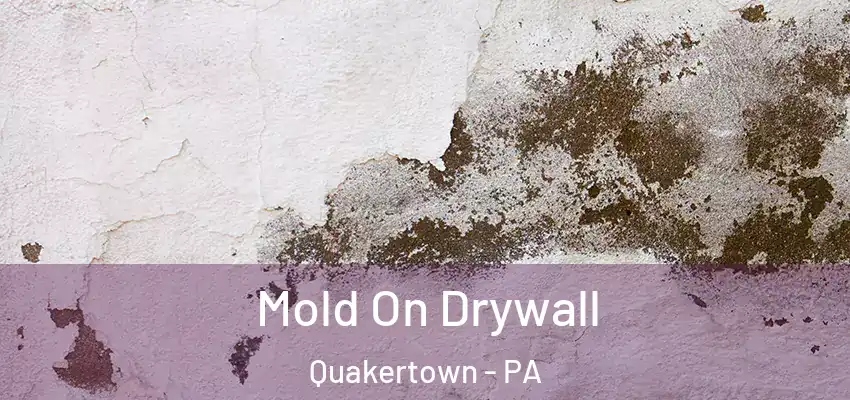 Mold On Drywall Quakertown - PA