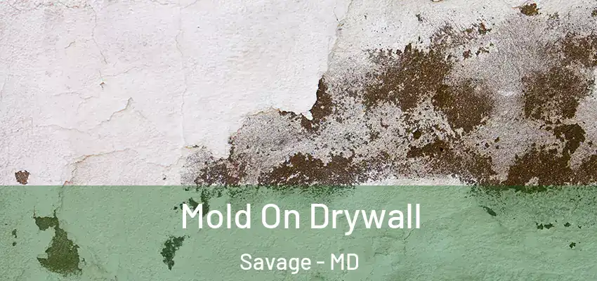 Mold On Drywall Savage - MD