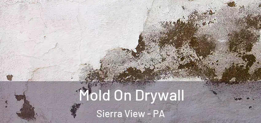 Mold On Drywall Sierra View - PA