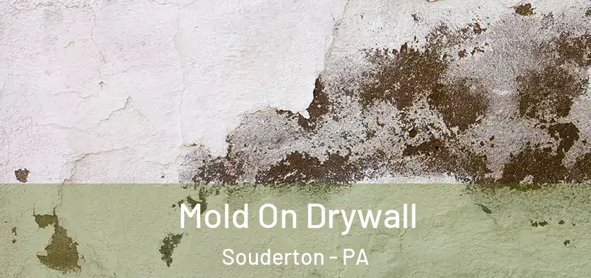 Mold On Drywall Souderton - PA