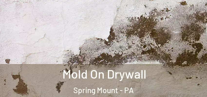 Mold On Drywall Spring Mount - PA
