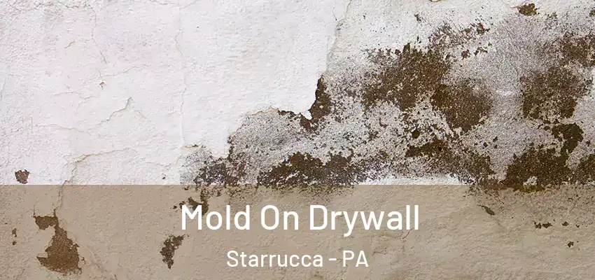  Mold On Drywall Starrucca - PA