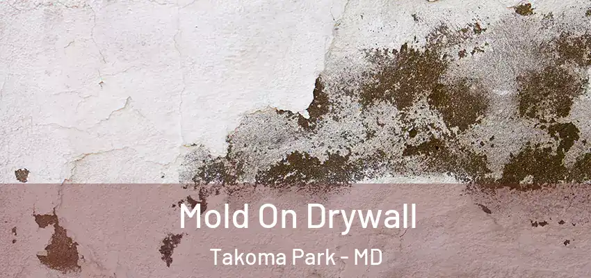 Mold On Drywall Takoma Park - MD