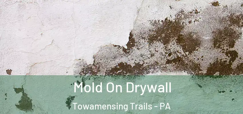 Mold On Drywall Towamensing Trails - PA