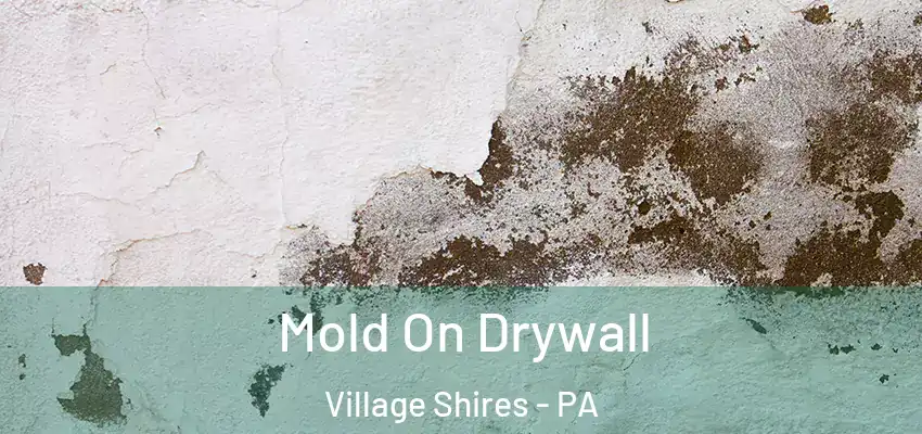 Mold On Drywall Village Shires - PA