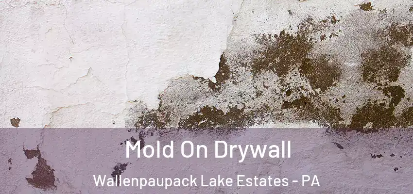 Mold On Drywall Wallenpaupack Lake Estates - PA