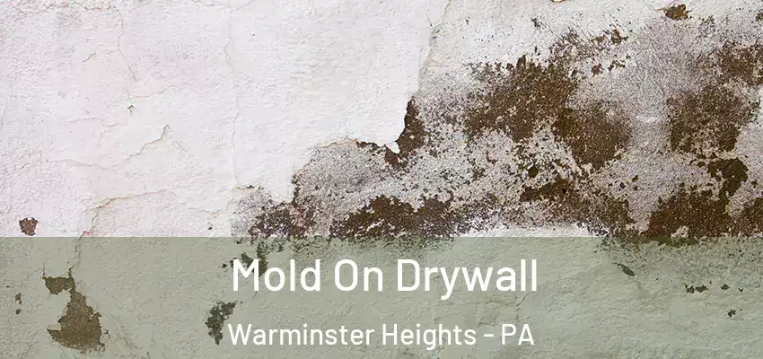 Mold On Drywall Warminster Heights - PA