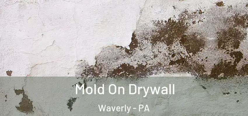 Mold On Drywall Waverly - PA