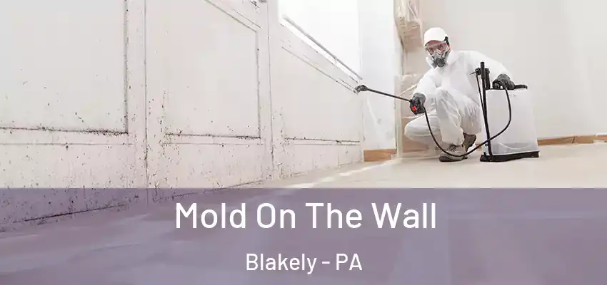 Mold On The Wall Blakely - PA