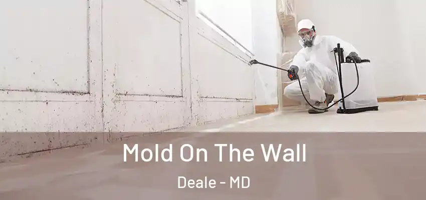 Mold On The Wall Deale - MD
