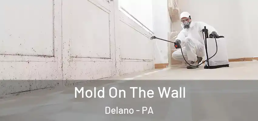 Mold On The Wall Delano - PA