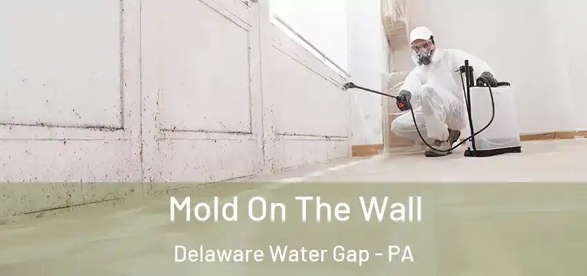 Mold On The Wall Delaware Water Gap - PA