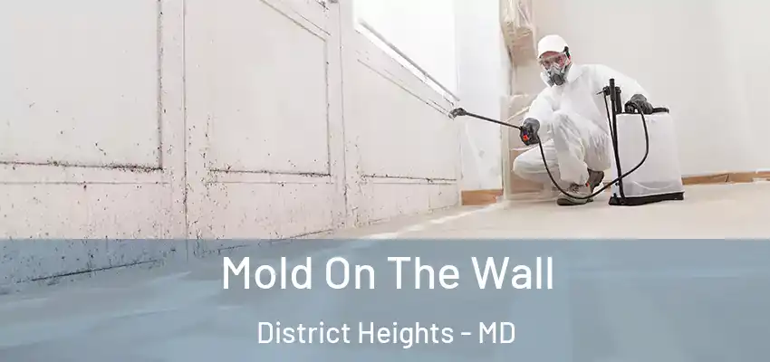 Mold On The Wall District Heights - MD