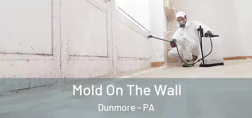 Mold On The Wall Dunmore - PA