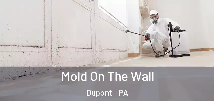 Mold On The Wall Dupont - PA