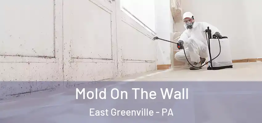 Mold On The Wall East Greenville - PA