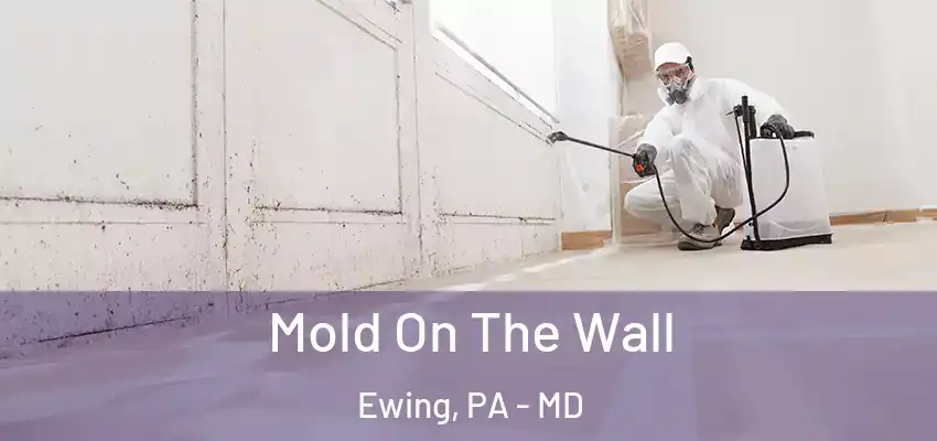Mold On The Wall Ewing, PA - MD