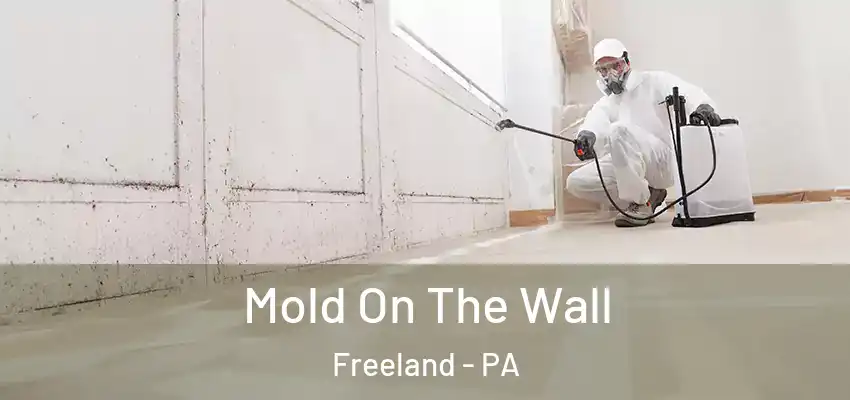 Mold On The Wall Freeland - PA