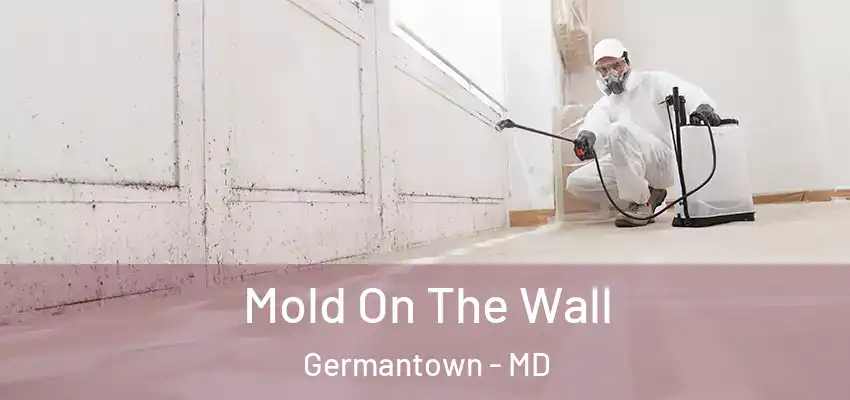 Mold On The Wall Germantown - MD