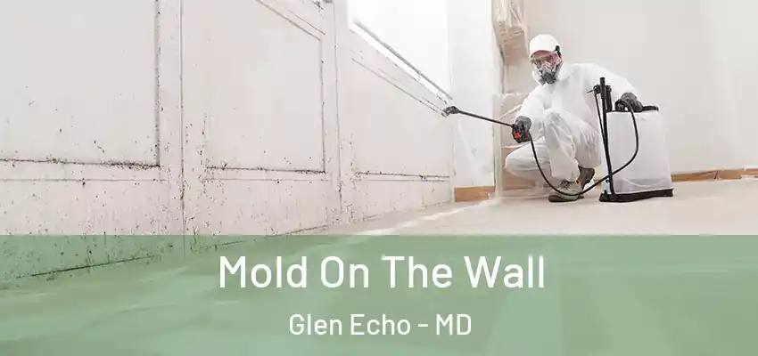 Mold On The Wall Glen Echo - MD