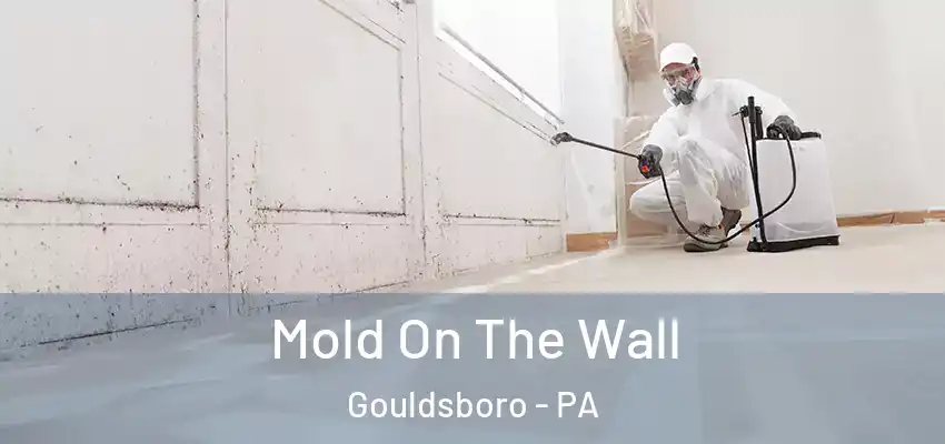 Mold On The Wall Gouldsboro - PA