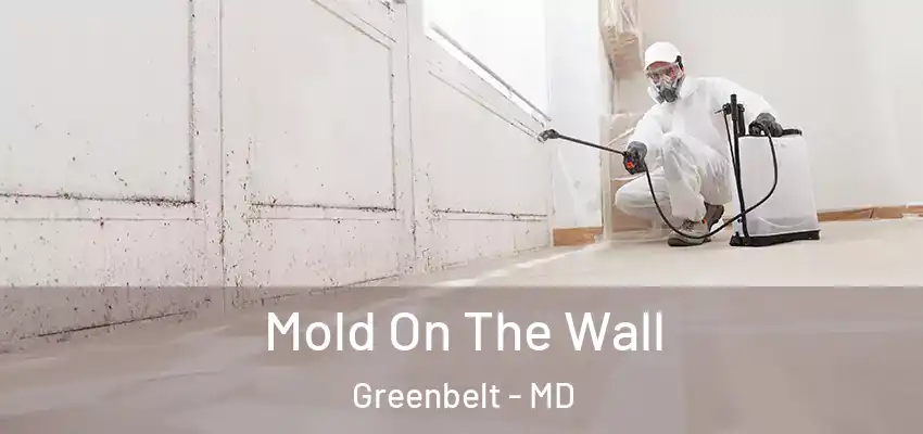 Mold On The Wall Greenbelt - MD