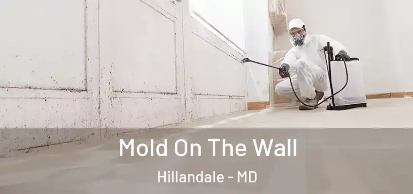 Mold On The Wall Hillandale - MD