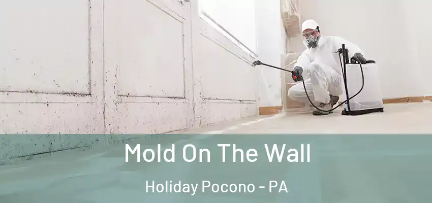 Mold On The Wall Holiday Pocono - PA