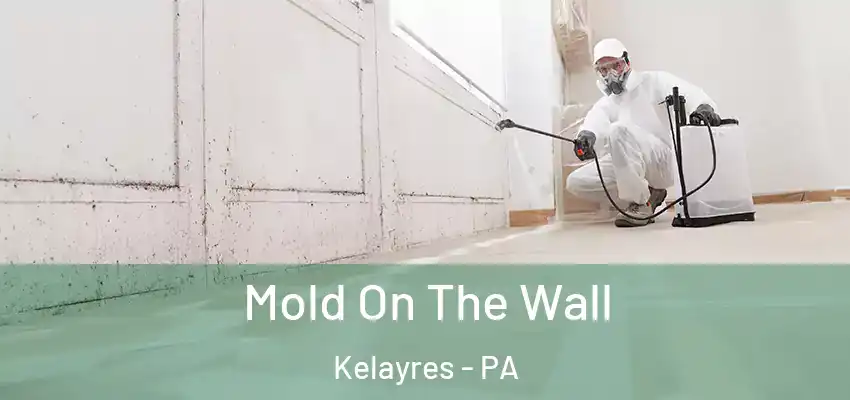 Mold On The Wall Kelayres - PA