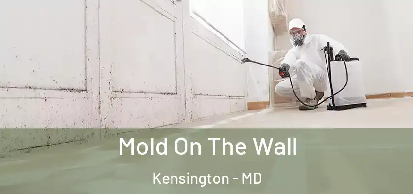 Mold On The Wall Kensington - MD